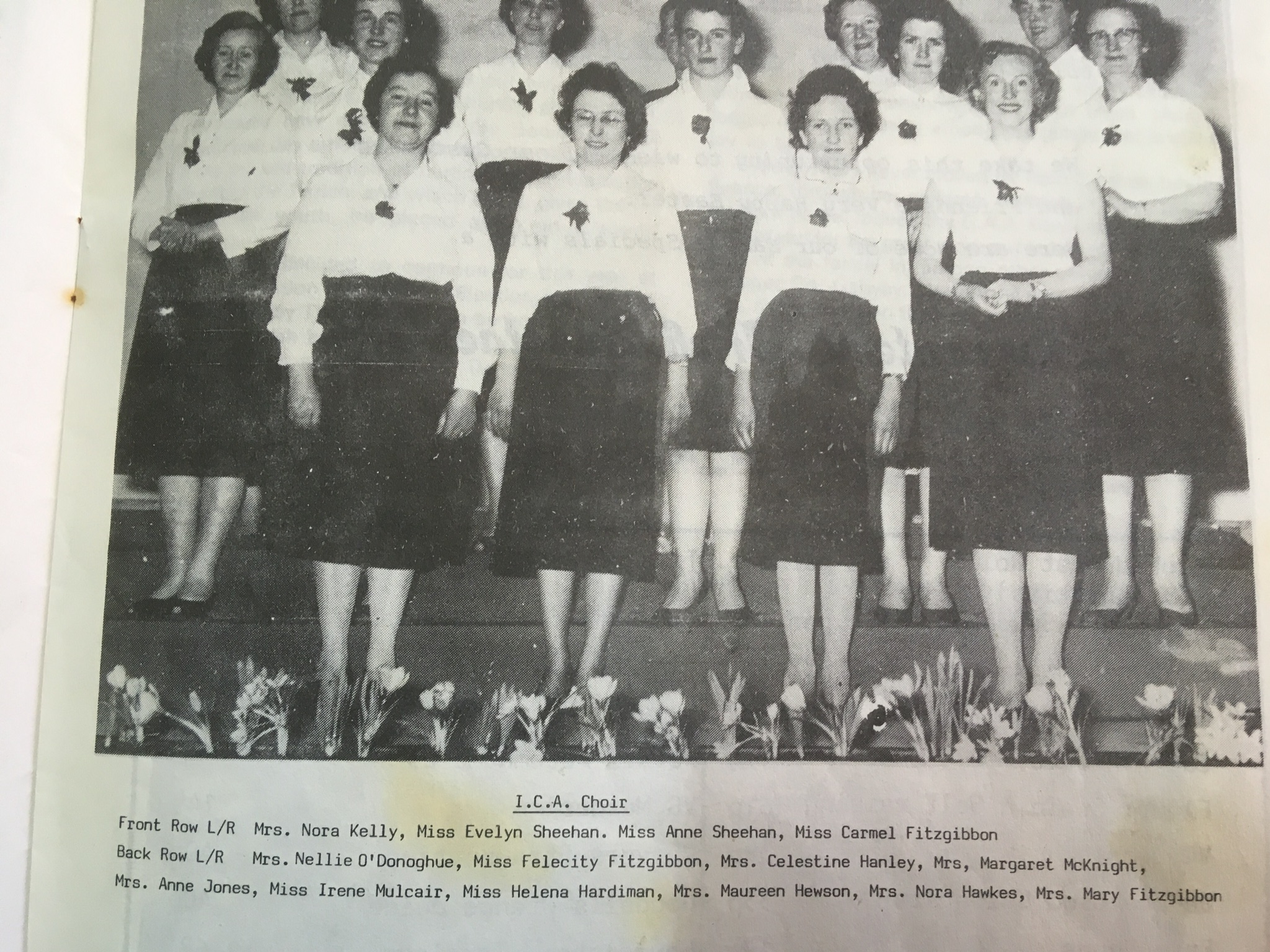 09C2D099-75BA-4402-9A7C-AF2C672FE76B